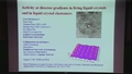 Image for Activity at director gradients in living liquid crystals and in liquid crystal elastomers