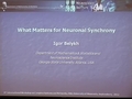 Image for What Matters for Neuronal Synchronization