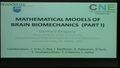 Image for Mathematical Modeling of Brain Neuro-Mechanics and a Fractional Model of Continuum Mechanics