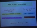 Image for Exploring the Energy Landscape of RNA