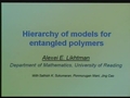 Image for Hierarchy of models for entangled polymers