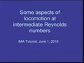 Image for Tutorial: Introduction to locomotion at low and intermediate Reynolds numbers