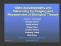 Image for Estimating Mechanical Tissue Properties with Vibro-acoustography and Vibrometry