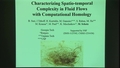 Image for Characterizing Spatio-temporal Complexity in Fluid Flow Using Computational Homology