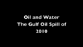 Image for Oil Spills in the Gulf and Alaska: Zygmunt Plater, Sep. 2010