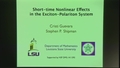 Image for Short-Time Behavior of the Exciton-Polariton Equations