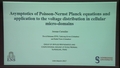 Image for Asymptotics of Poisson-Nernst-Planck equations and application to the voltage distributions in cellular micro-domains