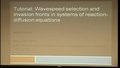Image for Mini-Symposium: Wavespeed Selection in Systems of Reaction-Diffusion Equations