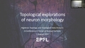 Image for Topological explorations of neuron morphology