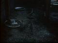Image for Plover, Reel 3