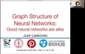 Image for Graph Structure of Neural Networks