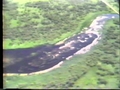 Image for Wild Rice River from Mahnomen to Twin Vally