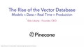 Image for The Rise of the Vector Database