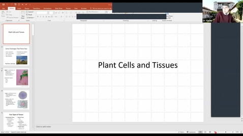 Thumbnail for entry BTNY 2104: Plant Cells and Tissues