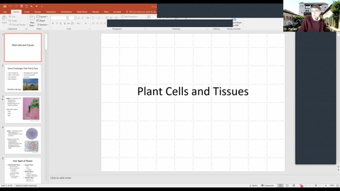 Thumbnail for BTNY 2104: Plant Cells and Tissues