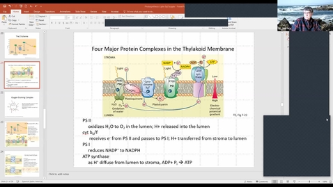 Thumbnail for BTNY 3153  2021_03_26: finished Photosynthesis: Light Reactions, started Photosynthesis: Calvin Cycle and Photorespiration