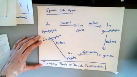 Thumbnail for entry BTNY 2104 2021_02_10, part2: Sporic Life Cycle and Sexual Reproduction in the Flowering Plants