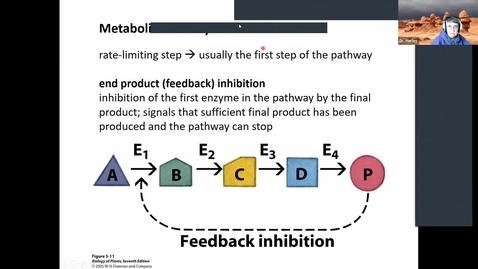 Thumbnail for entry BTNY 3153 2021_02_05:  Finish Cellular Energetics and Enzymes, Start Membranes: Structure and Transport Processes Part 1