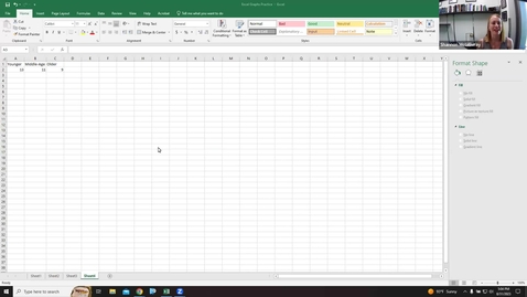 Thumbnail for Bar Graphs in Excel