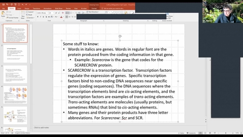 Thumbnail for entry BTNY 3153  2012_02_24: Cell Cycle Regulation, start Gene Expression