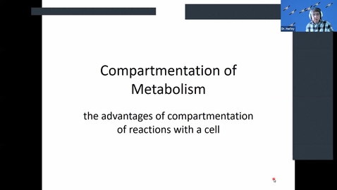 Thumbnail for entry BTNY 3153 2021_02_03:  Compartmentation of Metabolism, Start Cellular Energetics and Enzymes 
