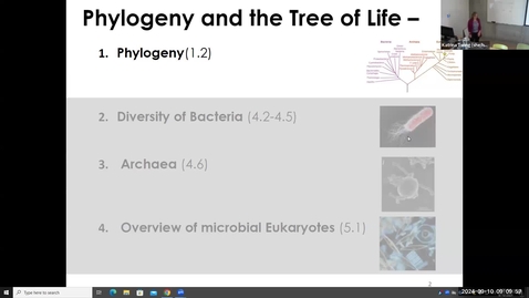 Thumbnail for 3154_Wk3_TreeOfLife_Tues