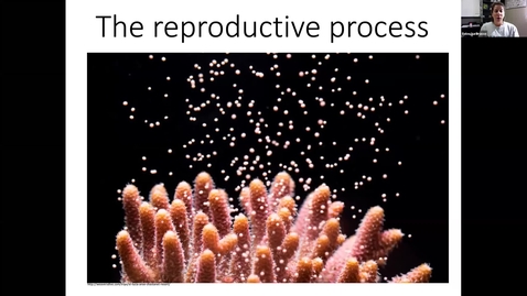 Thumbnail for entry Lecture 4 recording: Reproduction and thermoregulation