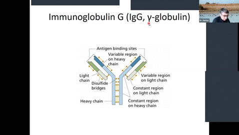 Thumbnail for BTNY 3153, Spring 2021, 2021_01_25-Techniques 4: Antibodies; Techniques 5: Electrophoresis and Blotting, part 1