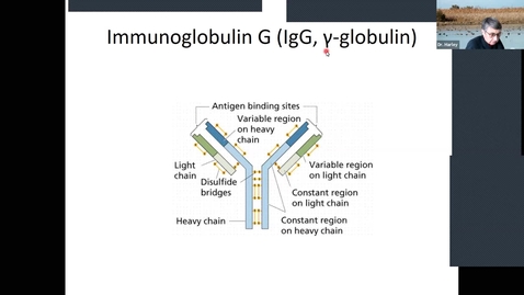 Thumbnail for entry BTNY 3153, Spring 2021, 2021_01_25-Techniques 4: Antibodies; Techniques 5: Electrophoresis and Blotting, part 1