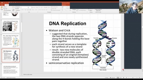 Thumbnail for BTNY 3153  2021_02_19: finish DNA Structure and Replication; start Nuclear Divisions, the Cell Cycle, and the Sporic Life Cycle