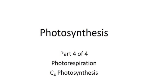 Thumbnail for entry Photosynthesis-Sp20_online_pt4of4