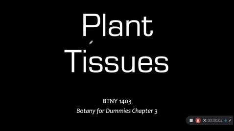 Thumbnail for 04- Plant Tissues - part 1