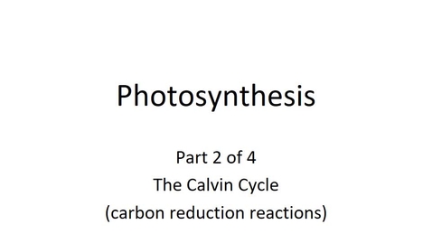 Thumbnail for entry Photosynthesis-Sp20_online_pt2of4
