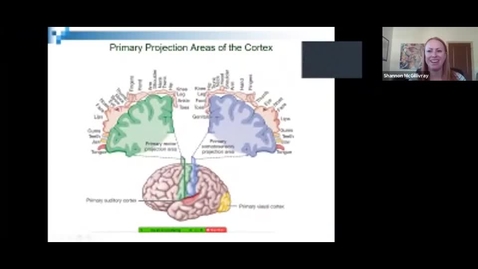 Thumbnail for entry Cognition Sept 2 - Chapter 2 Part 3