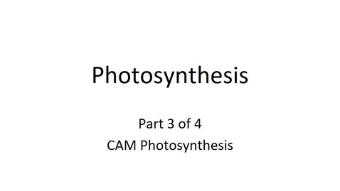 Thumbnail for entry Photosynthesis-Sp20_online_pt3of4