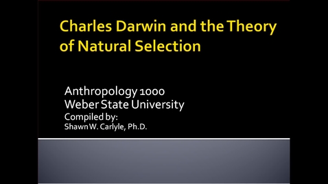 Thumbnail for ANTH 1000: Darwin's Evidence, Part 1- August 29th 2020, 12:35:22 pm