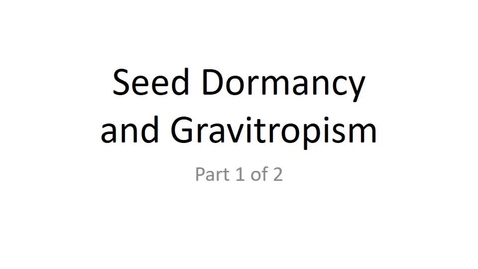 Thumbnail for entry Seed Dormancy and Gravitropism, Part 1