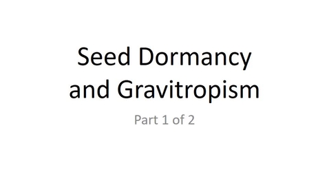 Thumbnail for Seed Dormancy and Gravitropism, Part 1