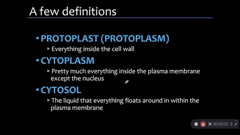 Thumbnail for 03- Plant Cell - part 2