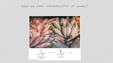 Thumbnail for entry Note May 25, 2020 Amine Nomenclature and Structural Features