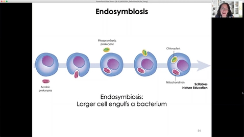 Thumbnail for Endosymbiosis_Twing.mp4