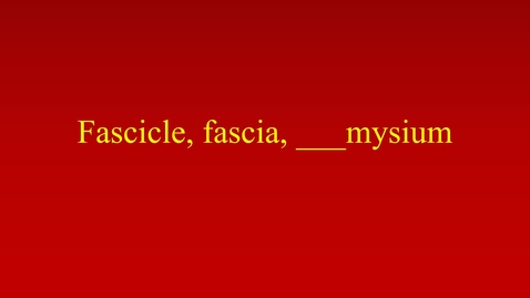 Thumbnail for entry Fascicle, fascia, ___mysium movie