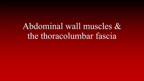 Thumbnail for entry Abdominal wall muscles