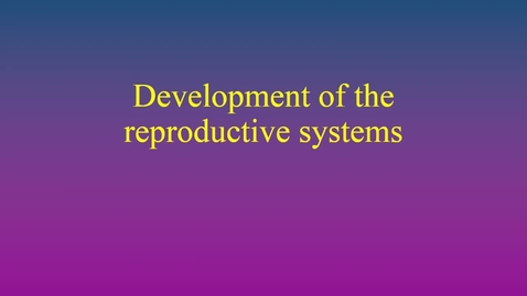 Thumbnail for entry Development of the reproductive systems