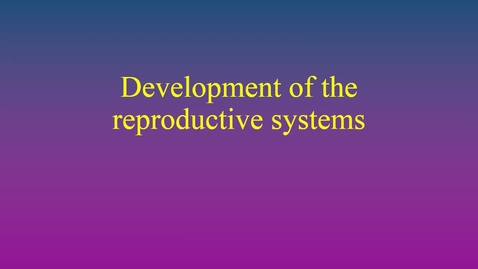 Thumbnail for Development of the reproductive systems
