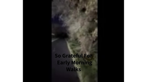 Thumbnail for 3230 Gratitude