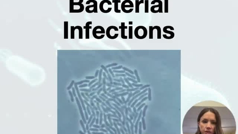 Thumbnail for Antibiotics Part 1