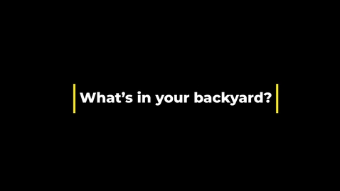 Thumbnail for Whats in my backyard