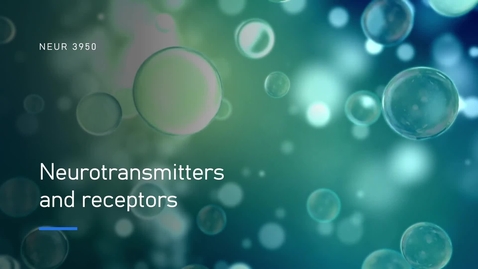 Thumbnail for SP26_NEUR3950_NTs