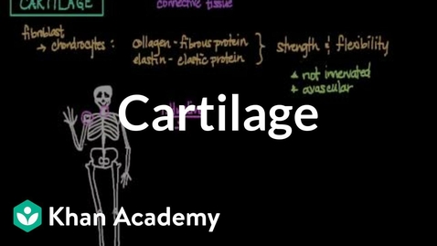 Thumbnail for HTHS 1110 F09-04a: Cartilage Video with Questions